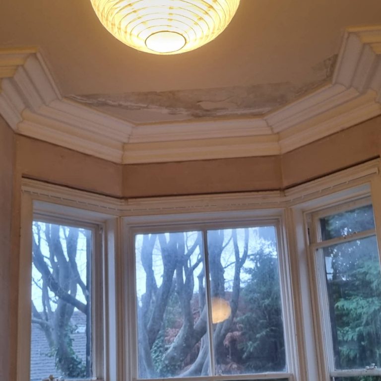 inbound359665207997536514 768x768