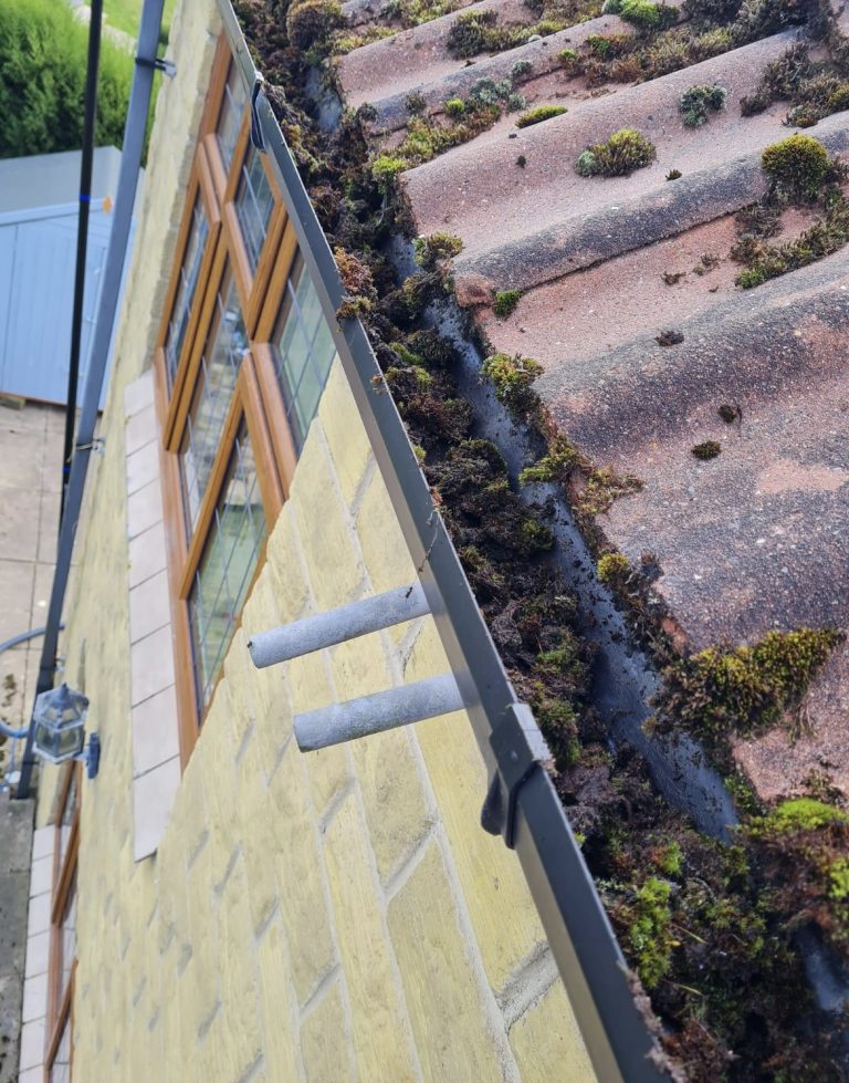 8E5DF365 68C7 42D5 A549 96AC33F9E530 768x979