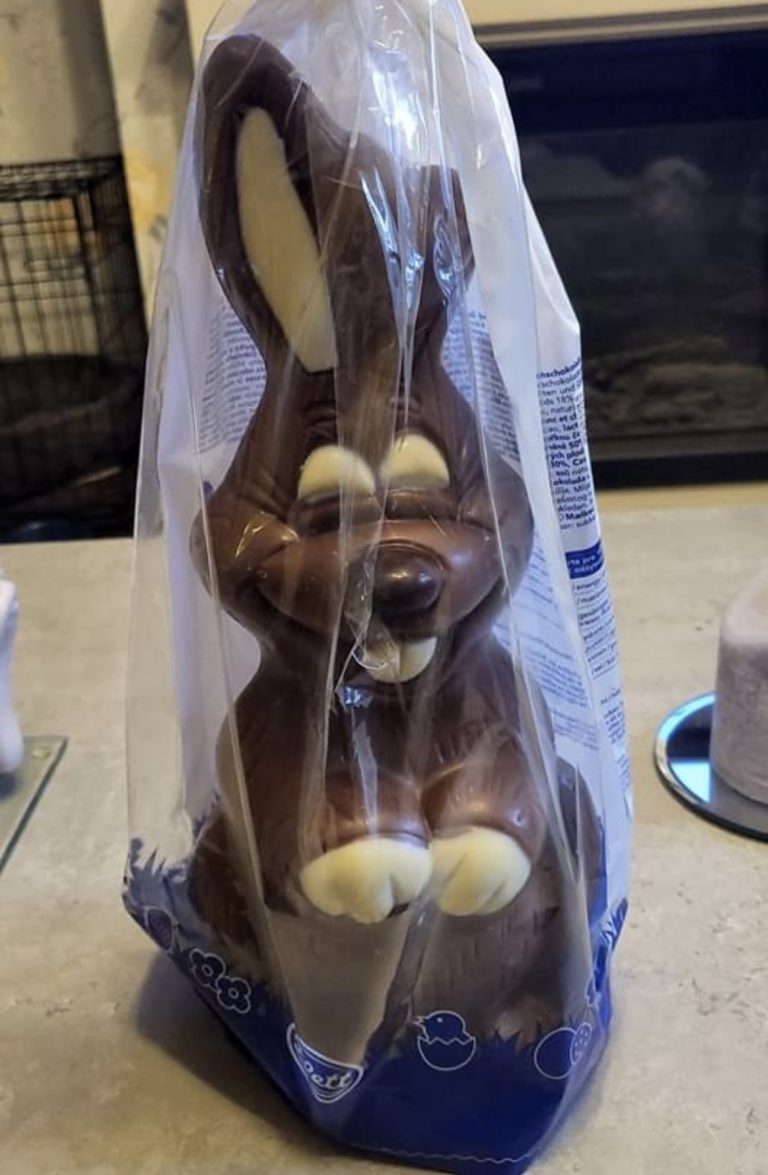 34C696CD C8A8 463A B266 92E7FF87A853 768x1175