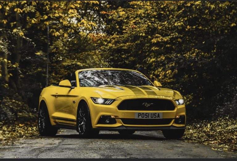 50991771 6483 4261 BA9E 29FEC5B426B2 768x523