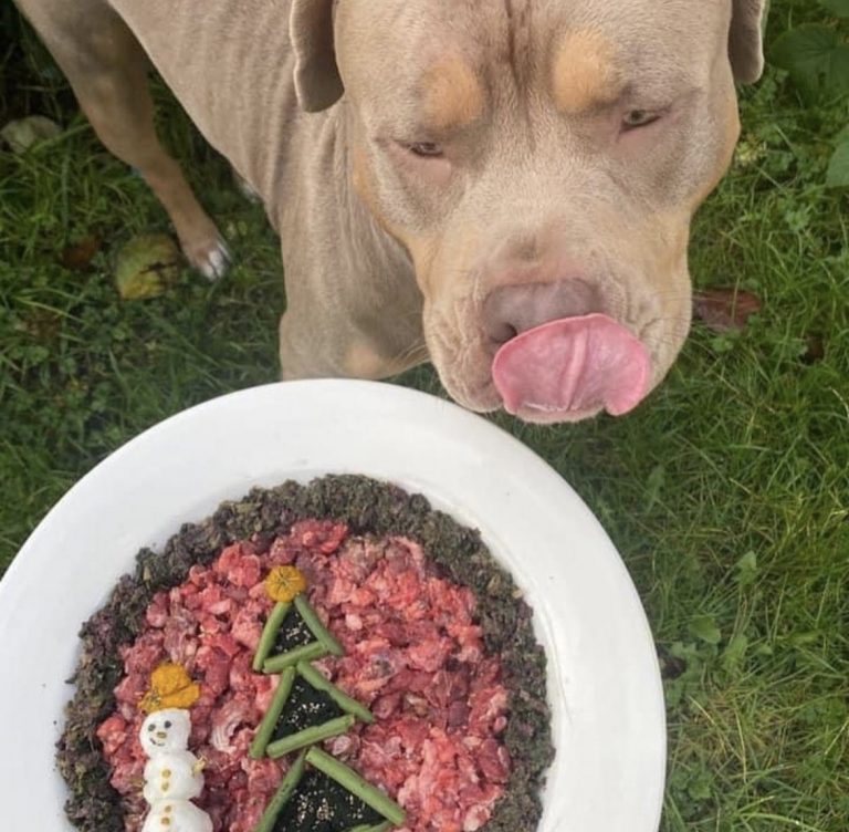 555B1CC8 7D86 4A53 A2E7 2BB335D7261D 768x752