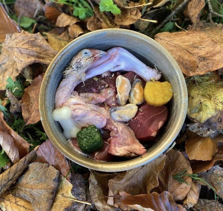 5F37F40D DF68 4A33 A43D D80668B45F2F 768x726