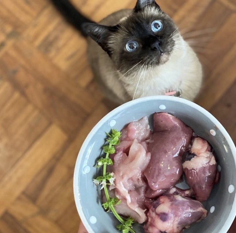 D979A88C 8465 4A38 A8DA D411024168F5 768x758