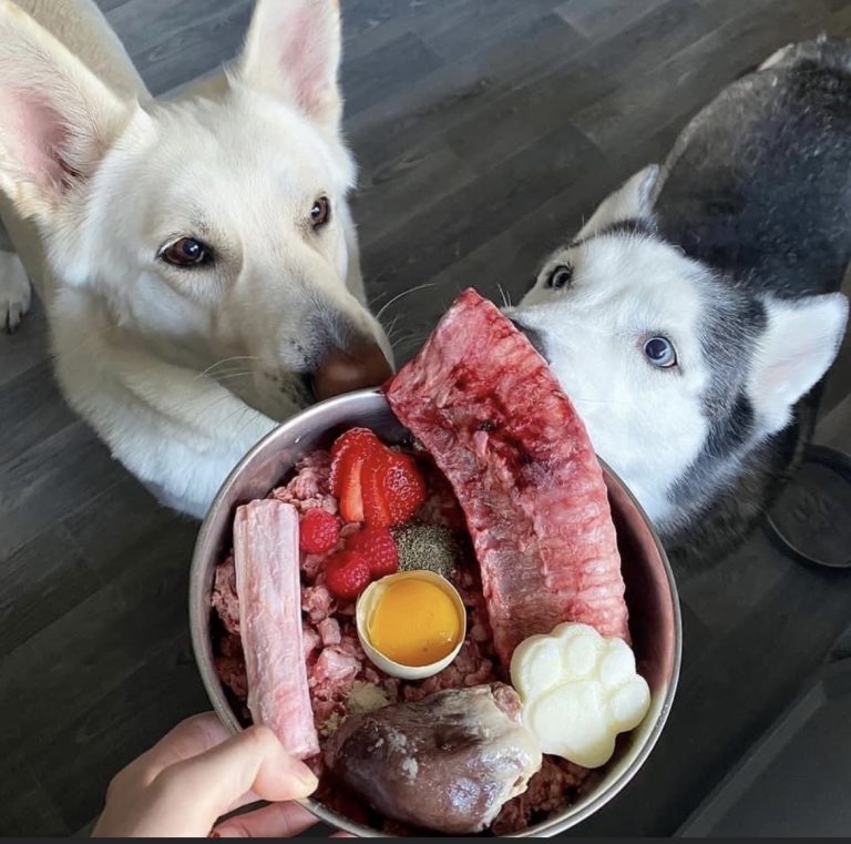 E6086691 A287 42FD B6B1 20AD9FDE4829 768x761